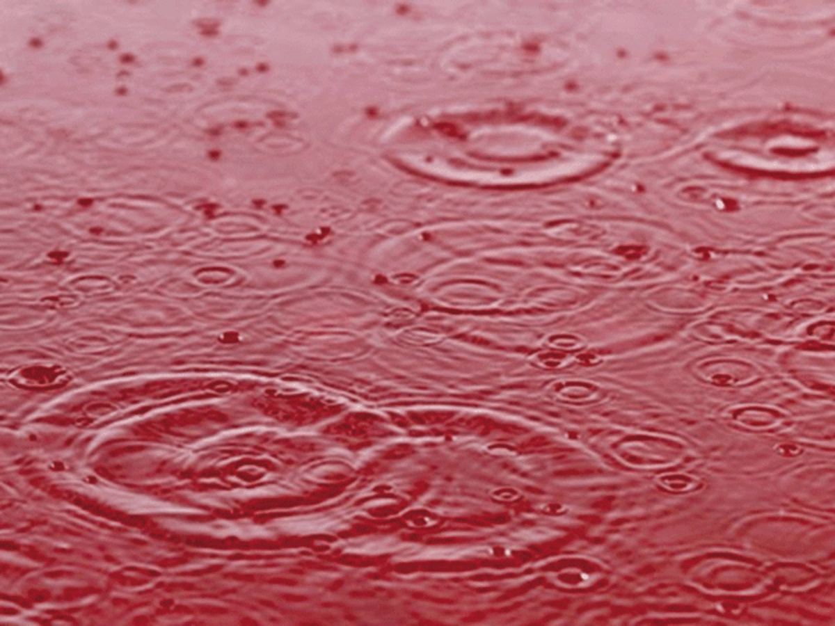 「血液雨」現象の背後にあるものは何ですか？