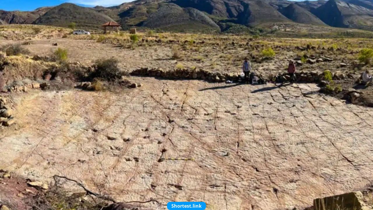 ボリビアで18,000個の恐竜の足跡を発見 ― 新世界記録