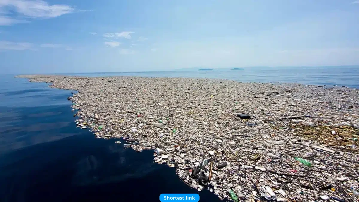 驚くべき新たな生態系が出現