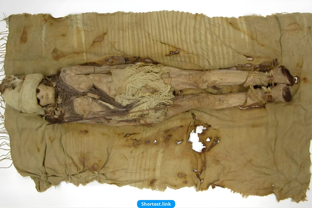 タクラマカン砂漠でケフィアチーズと一緒に発見された3,600年前のミイラ